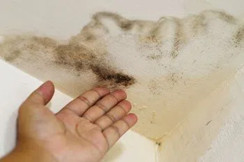 Coconut Creek Restoration Company Coconut Creek, FL 954-302-7165 - abt-cont-wdr-1