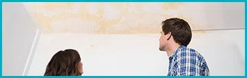 logo-image - banner-small-leaks