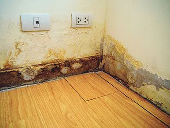 Coconut Creek Restoration Company Coconut Creek, FL 954-302-7165 - serv-cont-damage
